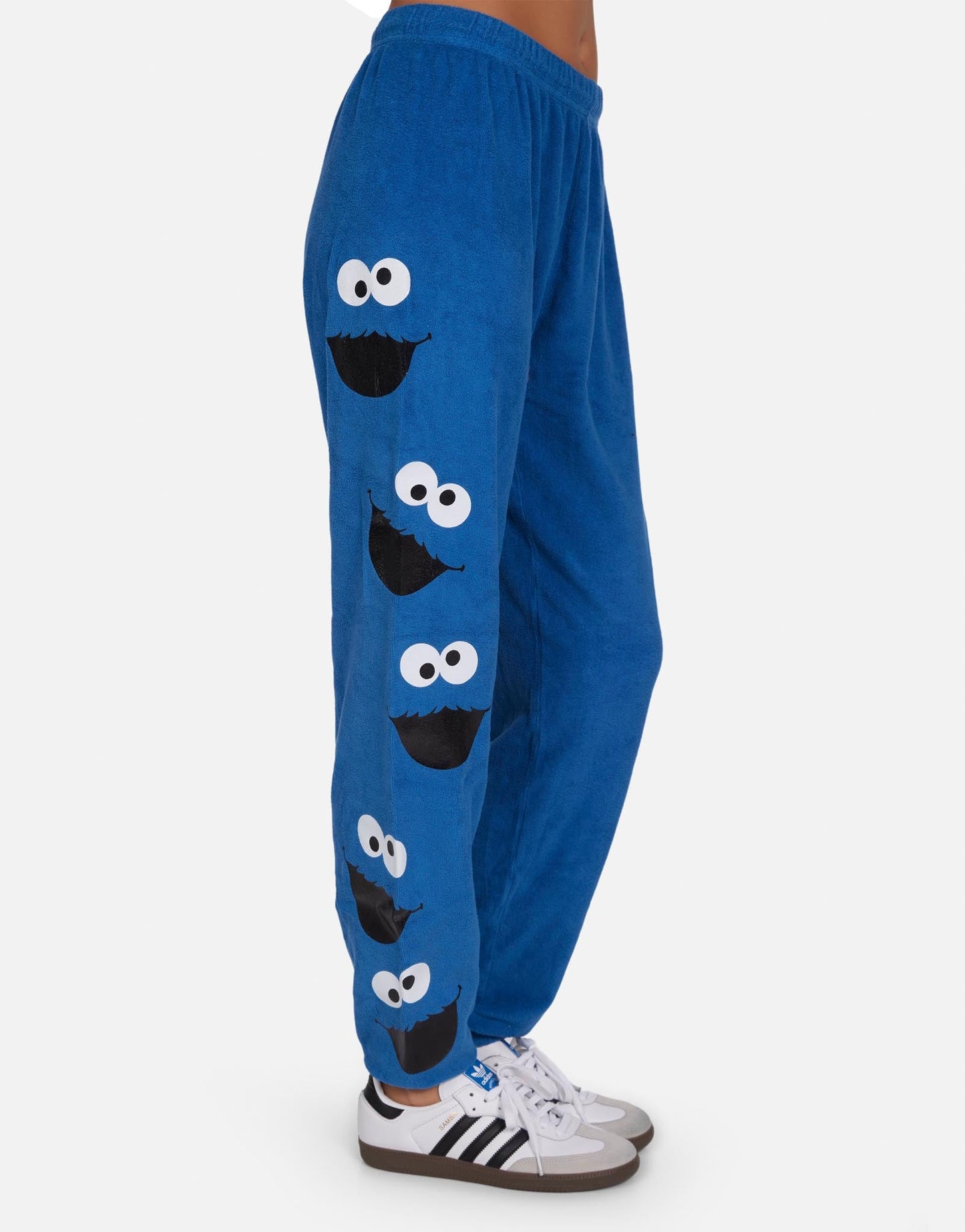 Tanzy Foil Cookie Monster