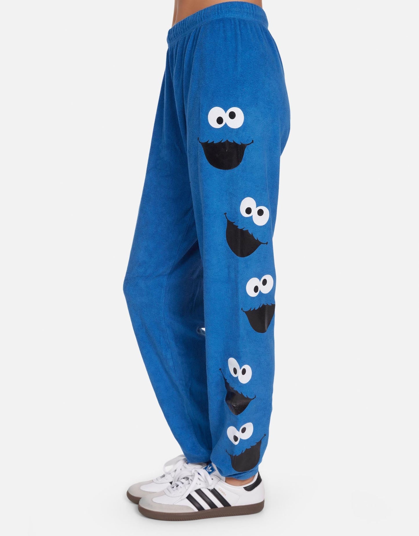 Tanzy Foil Cookie Monster